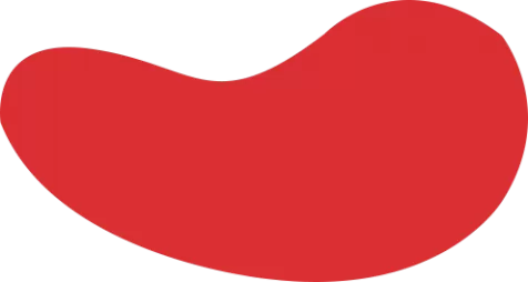 FB体育 (FBSports)官方网站